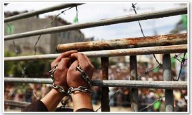 رسائل الأسرى الفلسطينيين… نص أدبي لم ينته بعد