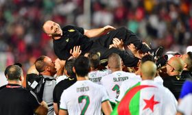 إشادات بالمدرب جمال بلماضي مهندس الإنجاز الجزائري في كأس أفريقيا