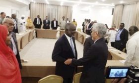 قادة الاحتجاج والحركات المتمردة في السودان يتعهدان بالعمل لإنجاز “سلام شامل” ــ (فيديو)