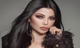 هيفاء وهبي تتعرض لموقف محرج في السويد.. ورد فعلها غير متوقع- (فيديو)