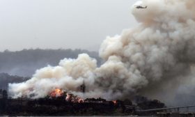 أستراليا تعلن حالة الطوارئ في العاصمة كانبيرا بسبب حرائق الغابات