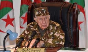 الجزائر: شنڤريحة يتفقد الوحدات على الحدود الليبية ويؤكد أن الجيش سيحافظ على سلامة وأمن البلاد