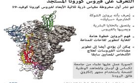 التعرف على فيروس كورونا المستجد