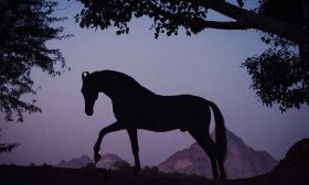 الخيلُ والليل…