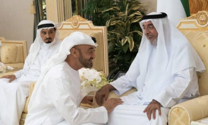 تقرير مثير عن محمد ومنصور بن زايد وكيف سيطرا على ثروة أخيهما رئيس الإمارات المريض