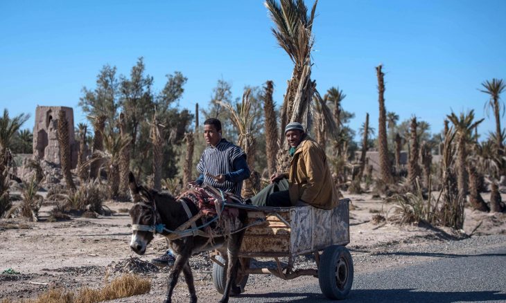 قضية احتجاز “حمار” تلهب سخرية رواد مواقع التواصل الاجتماعي في المغرب