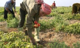 إلى وزراء الأردن: تواضعوا قليلا