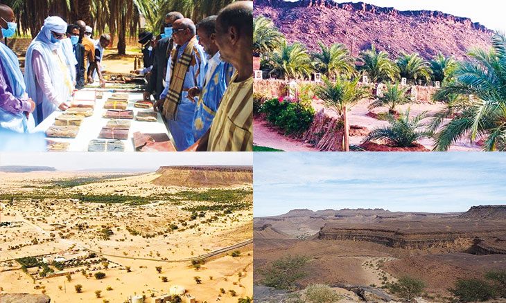 آزوكي المدينة الأثرية النائمة بين رمال حضارة موريتانيا الخالدة وأسفارها