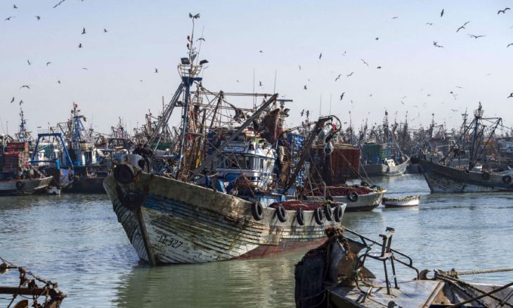 اتفاقية الصيد البحري بين المغرب والاتحاد الأوروبي تدخل متاهة القضاء والاستقطاب السياسي 101-6-730x438