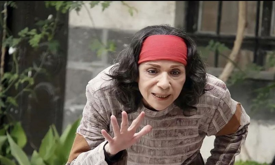 سامية الجزائري مؤلفة وبطلة مسلسل “سيرة وانفتحت”- (صورة)