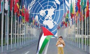 القضية الفلسطينية ووهم المجتمع الدولي