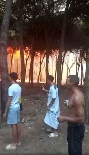 حرائق الغابات المستعرة في المغرب 3-18-scaled
