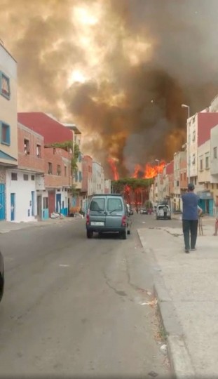 حرائق الغابات المستعرة في المغرب 4-14-scaled