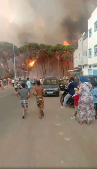 حرائق الغابات المستعرة في المغرب 5-9-scaled