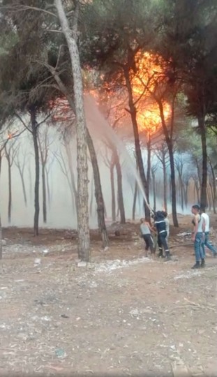 حرائق الغابات المستعرة في المغرب 7-6-scaled