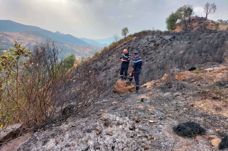 حرائق غابات مدمرة في الجزائر 4-21