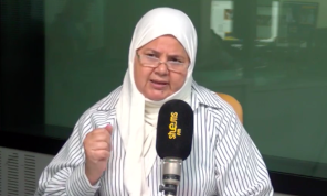 أرملة البراهمي تقاضي المرزوقي والبحيري بسبب تصريحات حول مشاركة حزبها في القتال إلى جانب الأسد- (فيديو)