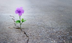 فِتنةُ الأمل… وتَشكِيلٌ مُرسلْ