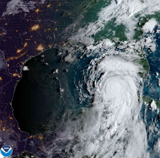 الإعصار إداليا يشتد في طريقه إلى فلوريدا مهددا بهبوب عواصف خطيرة- (فيديو)