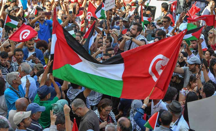 جامعة الزيتونة: تأييد الجهاد في فلسطين فرض عين على كل مسلم- (تدوينة)