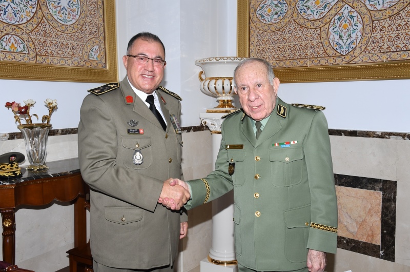 الجزائر وتونس تبحثان التعاون العسكري