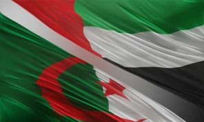 هل تشن الإمارات حربا خفية على الجزائر؟