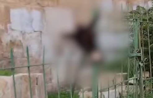 شرطة الاحتلال توقف إسرائيليا علق رأس حمار في مقبرة إسلامية- (تدوينة وفيديو)