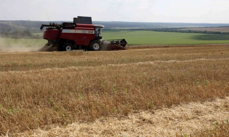 روسيا تشحن 200 ألف طن من الحبوب المجانية إلى 6 دول إفريقية