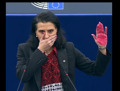 “لحقوق الإنسان لون بشرة”.. نائبة بالبرلمان الأوروبي تحتج تضامنا مع غزة- (فيديو)