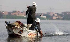 «صحوة الرمال» مشروع بحثي مصري لتقليل الاعتماد على مياه نهر النيل