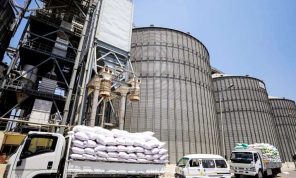 «جهاز مستقبل مصر للتنمية المستدامة» يسعى لشراء قمح وزيوت نباتية بصفقات مباشرة