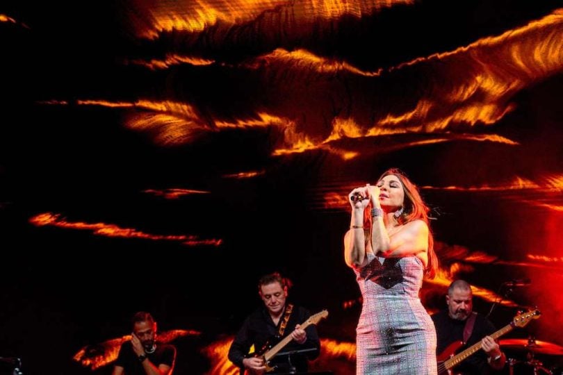 إليسا تتعرض لعملية نصب بـ2.7 مليون دولار