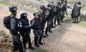 الجيش الإسرائيلي يقتلع 135 شجرة زيتون شمالي الضفة