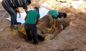 غزيون ينتشلون ويدفنون أحبابا ارتقوا في حرب الإبادة.. جرح يتجدد في مستشفى الشفاء