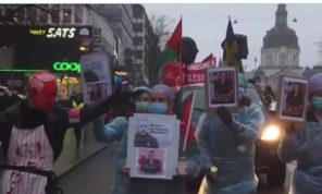 ستوكهولم.. متظاهرون ينددون بمواصلة إسرائيل هجماتها على فلسطينيي غزة- (فيديو)