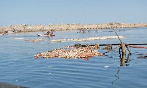 بحرُ غزةَ بلا موانئ… والصيادونَ عالقونَ بين الحُطام والحِصار