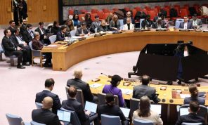 مجلس الأمن الدولي يدعو إلى وقف الأعمال العدائية في جنوب السودان