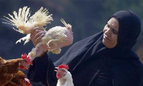 ارتفاع أسعار اللحوم والدواجن يهدّد موائد إفطار المصريين