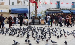 دراسة فرنسية: تراجع معدلات الخصوبة في بلدان المغرب سيؤدي إلى شيخوخة سكانية 