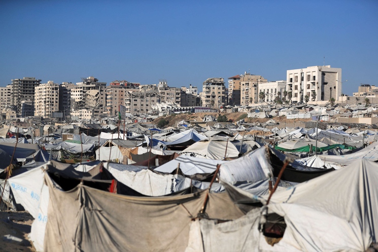 مسؤول فلسطيني: غزة تحتاج إلى 100 طن من الطعوم السامة لمكافحة القوارض