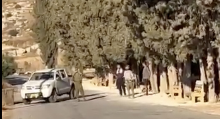 الضفة.. مستوطنون إسرائيليون يصيبون فلسطينيا ويحتجزون 4 سيدات